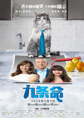 一级片一区
